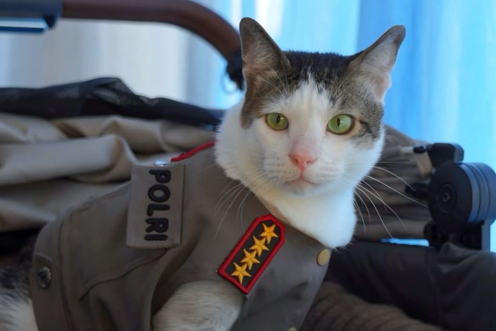 Bobby Kertanegara: Prabowo's Cat Meets World Leaders